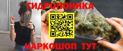 дмт Сочи