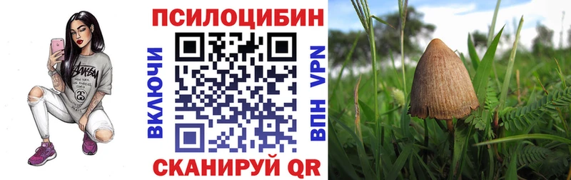 Галлюциногенные грибы Psilocybe  дарнет шоп  Уфа 