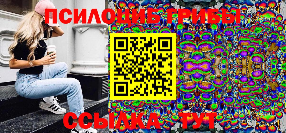Псилоцибиновые грибы Psilocybe Уфа