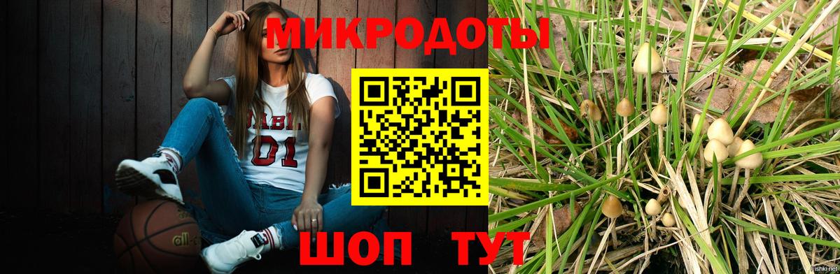 Псилоцибиновые грибы Psilocybe  Вход с VPN  Уфа 
